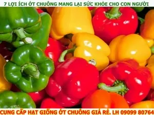 7 loi ich ot chuong mang lai suc khoe cho con nguoi