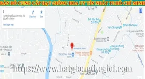 ban do cung cap hat giong hoa uy tin nhat tp ho chi minh