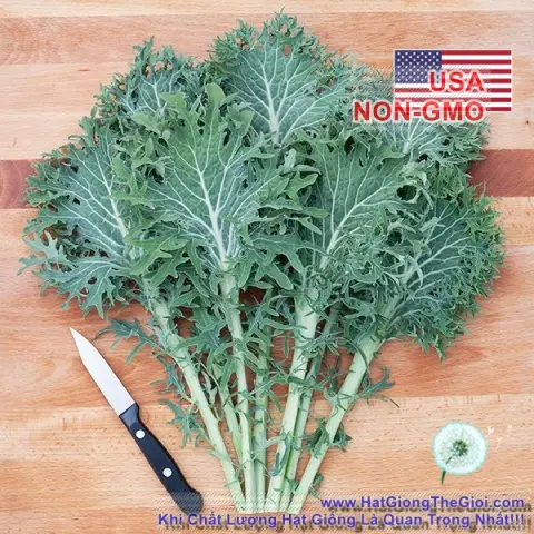 cai xoan   kale