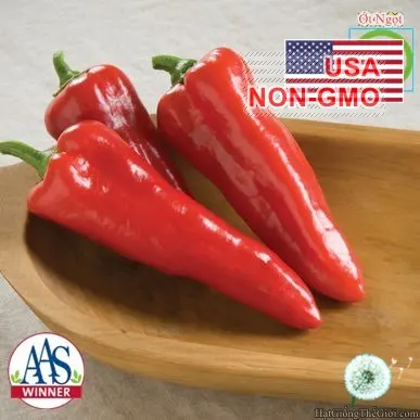 ot   pepper