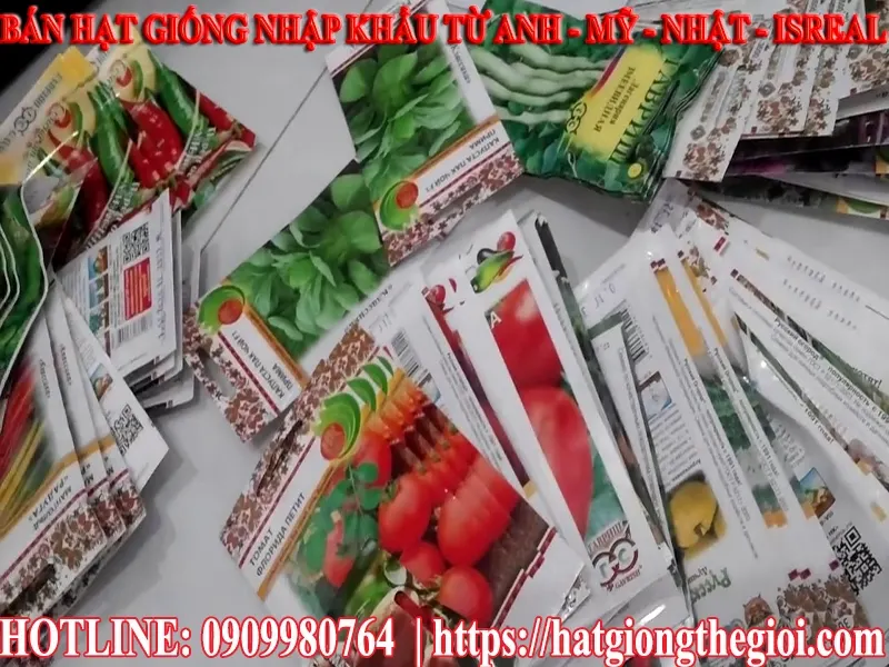 Bán hạt giống nhập khẩu