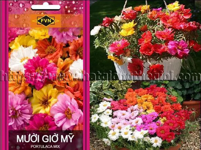 Mười giờ Mỹ