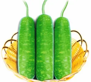 Hạt Giống Bầu Sao Trái Dài (Lagenaria siceraria)