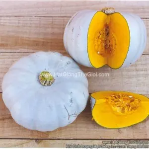 Hạt Giống Bí Đỏ Ó Bạc TG285