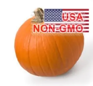 Hạt Giống Bí Ngô - SPOOKIE Ngọt Thơm 2.4kg (Cucurbita pepo)