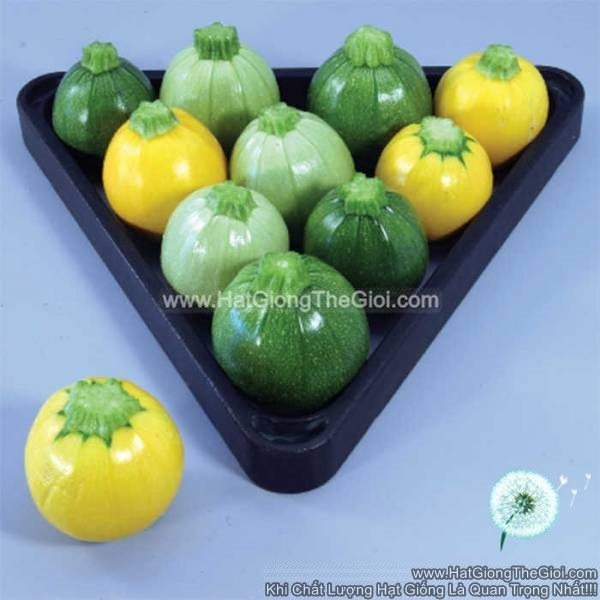 hat giong bi ngoi banh mix mau