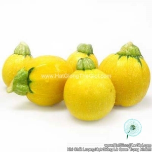 hat giong bi ngoi banh vang f1 tg202