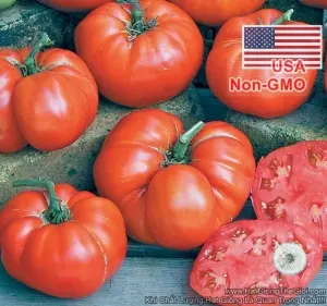 Hạt Giống Cà Chua Hà Lan - Beef (Solanum lycopersicum)