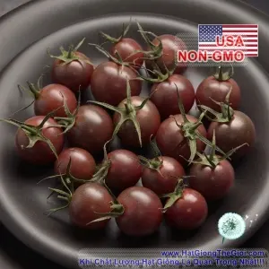 Hạt Giống Cà Chua - Chocolate (Solanum lycopersicum)