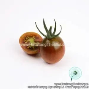 Hạt Giống Cà Chua Nho Chocolate TG354