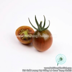 hat giong ca chua nho chocolate tg354