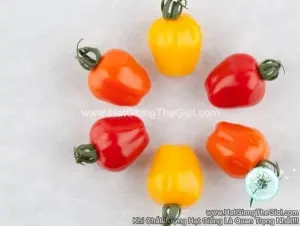 Hạt Giống Cà Chua Trái Táo F1Pro Mix