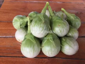Hạt Giống Cà Pháo Thái Lan (Solanum macrocarpon)