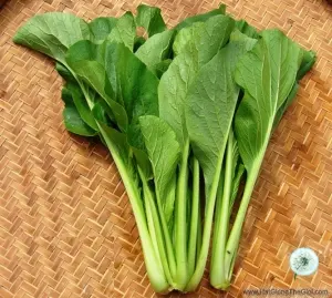 Hạt Giống Cải Ngọt (Brassica integrifolia)