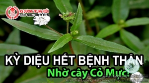 hat giong co muc nho noi   tri nhieu benh  eclipta prostrata l