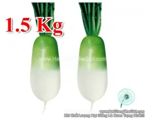 Hạt Giống Củ Cải Hàn Quốc 1.5KG F1 TG55