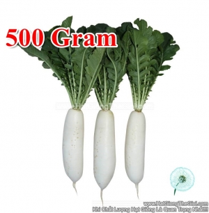 hat giong cu cai trang 500gr tg63
