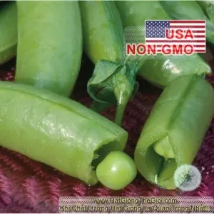 Hạt Giống Đậu Hà Lan - Leo Siêu Ngon Sugar Snap (Pisum sativum)