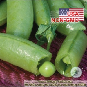 hat giong dau ha lan   leo sieu ngon sugar snap  pisum sativum