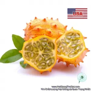 Hạt Giống Dưa Chuột Gai Chịu Nhiệt Kiwano (Cucumis metuliferus)