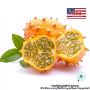 hat giong dua chuot gai chiu nhiet kiwano  cucumis metuliferus