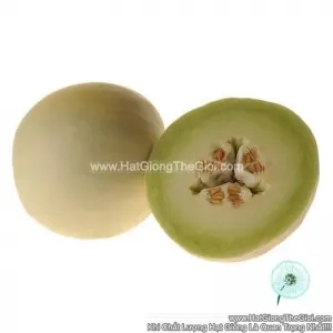 Hạt Giống Dưa Lê Siêu Ngọt Brix15 Ship Tốt TG20