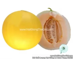 Hạt Giống Dưa Lê Vàng Ruôt Đỏ 2KG F1 TG53
