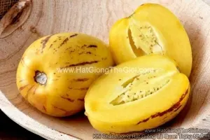 Hạt Giống Dưa Pepino