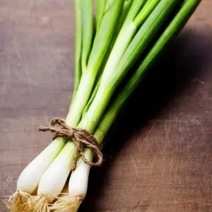 Hạt Giống Hành Hương (Allium fistulosusm)