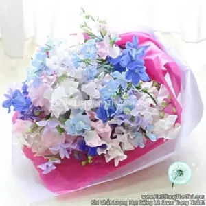 Hạt Giống Hoa Phi Yến Cắt Cành TG278 Mix