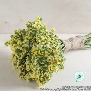 Hạt Giống Hoa Salem Cắt Cành TG90 Light Yellow