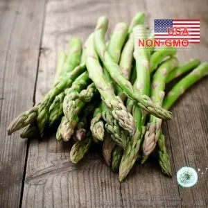 Hạt Giống Rau Măng Tây Washington (Asparagus officinalis)