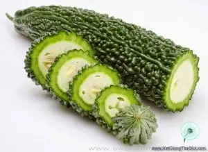 Hạt Giống Mướp Đắng/ Khổ Qua Gai (Momordica charantia)