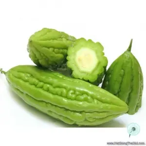 Hạt Giống Mướp Đắng/ Khổ Qua (Momordica charantia)