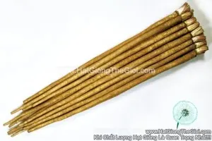 Hạt Giống Ngưu Bàng Củ Dài TG321