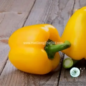 Hạt Giống Ớt Chuông Ngọt Vàng