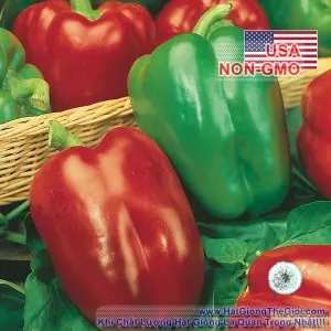 Hạt Giống Ớt Ngọt - Chịu Nhiệt Lùn Dày Wonder (Capsicum annuum)