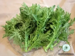 Hạt Giống Rau Tần Ô/ Cải Cúc Tẻ (Chrysanthemum coronarium)