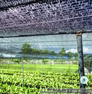 Lưới Che Nắng Lưới Lan 5x2m MIMOSA
