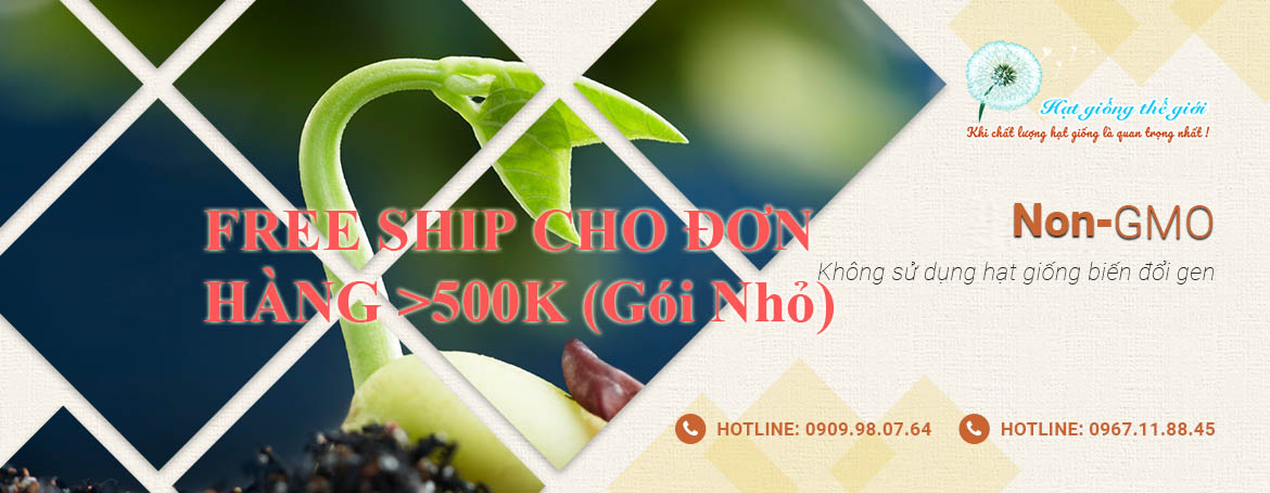 Hạt Giống Thế Giới